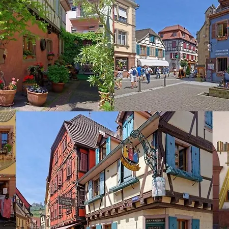 Le Stanislas Appartement