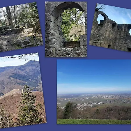 Le Stanislas 아파트 콜마