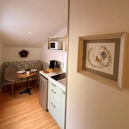 Apartman Le Stanislas *
