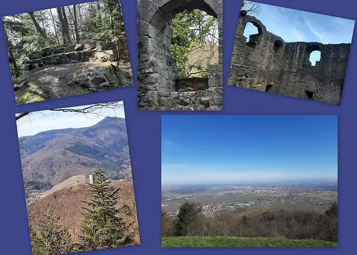 Le Stanislas 公寓 科尔马