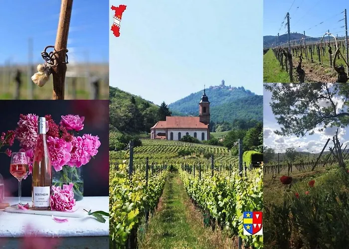 公寓 Le Stanislas *