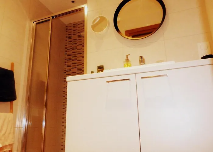 Le Stanislas 公寓 科尔马