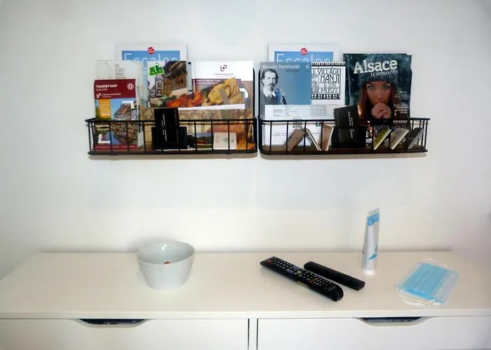 Le Stanislas 公寓 科尔马