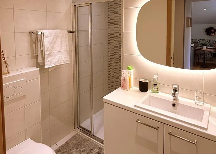 アパート Le Stanislas コルマール